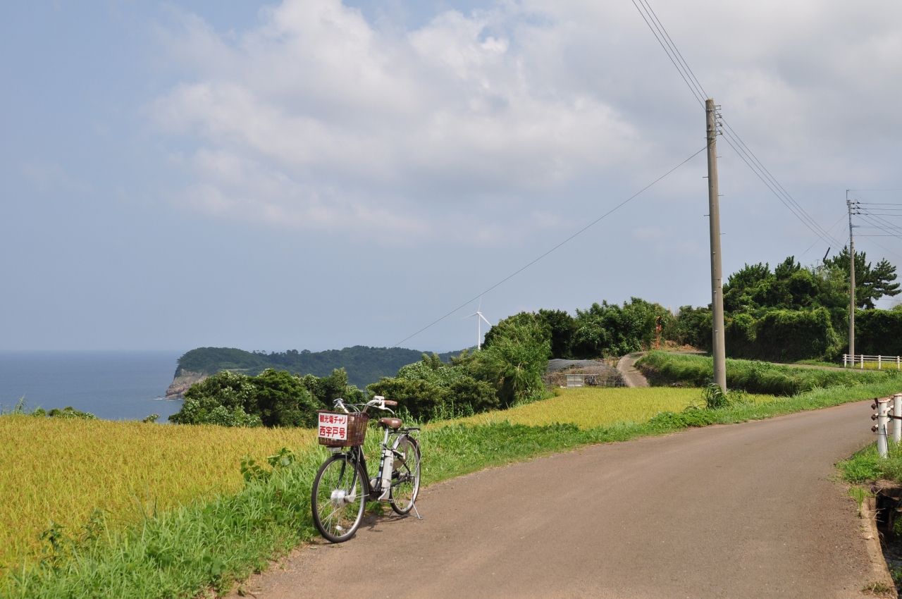 的山大島（あづちおおしま）: 休日の日記